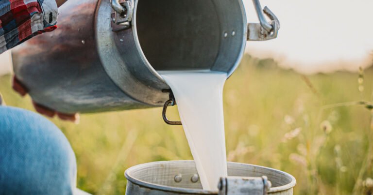Young woman pouring raw milk into container