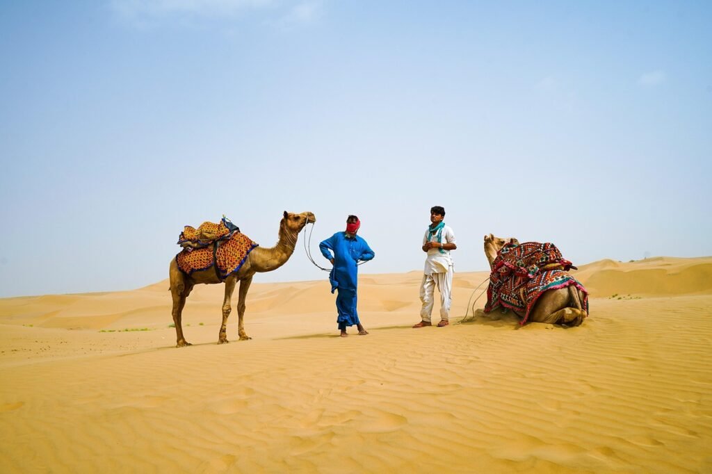 jaipur day trip