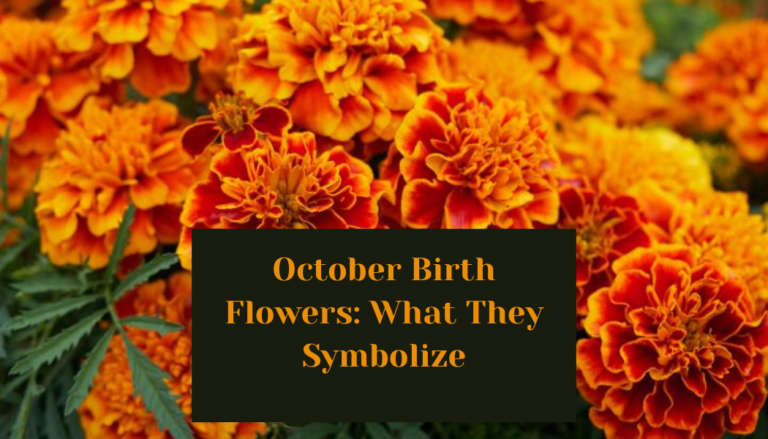 October Birth Flowers