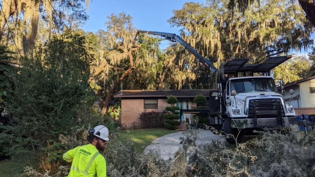 How Expert Tree Removal Keeps Florida Homes and Businesses Safe? Tree Removal Service Florida
