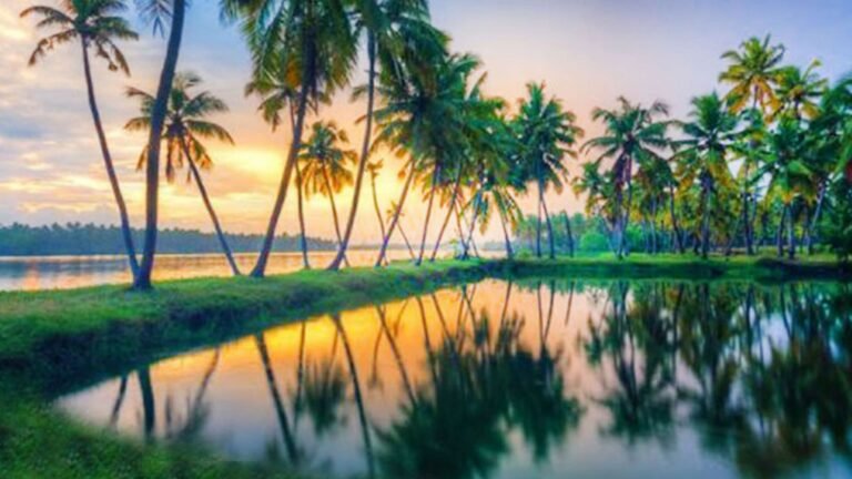 Kerala Honeymoon Packages: A Romantic Escape into God’s Own Country