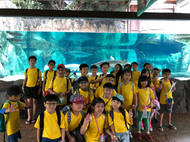Tuition Centre in Singapore That Helps Children Grow with Confidence tuition centre singapore